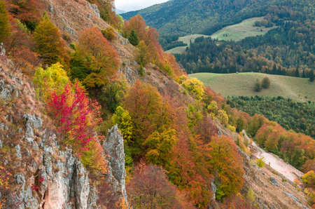 Fall landscape in the mountains. Mountain autumn scene with colorful trees in the forestの写真素材