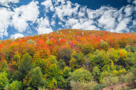 Fall landscape in the mountains. Mountain autumn scene with colorful trees in the forestの写真素材