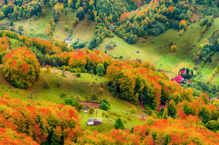 Fall landscape in the mountains. Mountain autumn scene with colorful trees in the forest. There are...