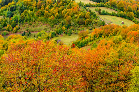 Fall landscape in the mountains. Mountain autumn scene with colorful trees in the forestの写真素材
