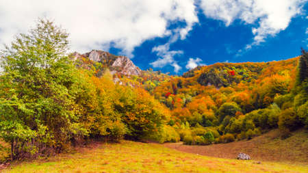 Fall landscape in the mountains. Mountain autumn scene with colorful trees in the forestの写真素材