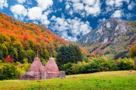 Fall landscape in the mountains. Meadow with haystacks near a forest in the autumn seasonの写真素材