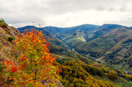 Fall landscape in the mountains. Mountain autumn scene with colorful trees in the forest. There are some houses and cottages in the meadowの写真素材