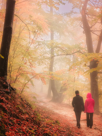 Autumn in Cozia, Carpathian Mountains, Romania. Vivid fall colors in a misty forest during a autumn light rain. There are people on a path through the wood.の写真素材