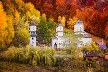Autumn in Buila Vanturarita National Park, Carpathian Mountains, Romania. Vivid fall colors in forest. Colorful Autumn Leaves. Green, yellow, orange, red.の写真素材