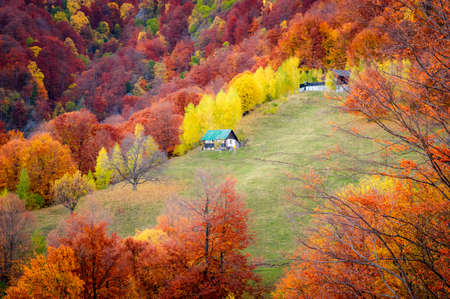Autumn in Buila Vanturarita National Park, Carpathian Mountains, Romania. Patrunsa hermitage surrounded by vivid fall colors of the forest.の写真素材
