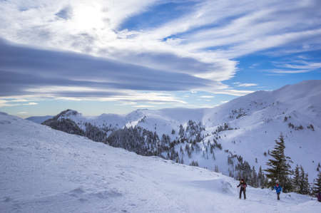 Ciucas mountains in winter, Romanian Carpathians. Fir trees and junipers full of frozen snow. There are hikers in the image.の写真素材