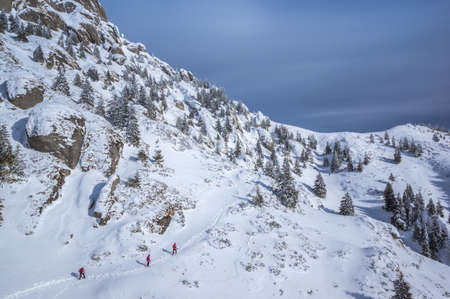 Ciucas mountains in winter, Romanian Carpathians. Fir trees and junipers full of frozen snow. There are hikers in the image.の写真素材
