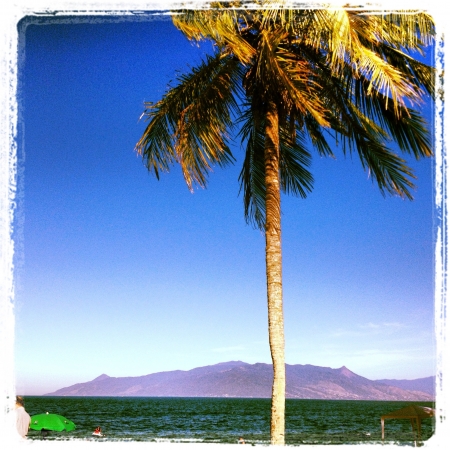 Beach on the northern coast of Brazilの素材