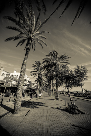 on the street in Mallorcaの写真素材