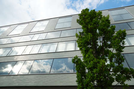 A facade of a modern corporate building with large glass surface in upward perspective with sky and clouds reflected on the facade and a lonely coniferous tree on the foregroundのeditorial素材