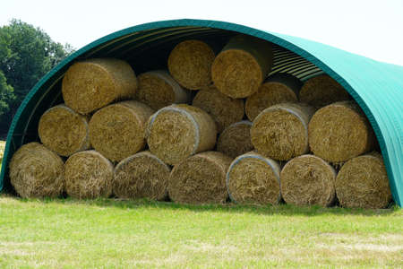 Straw bales under the green shelter collecting during harvesting in Switzerland countryside during...