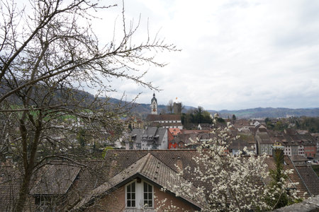 Laufenburg, Germany, 04 08 2023, Rooftops of the old city. The roofing tiles are red and brown at springtime. On the background there is defocused skyline of Laufenburg in Switzerlのeditorial素材