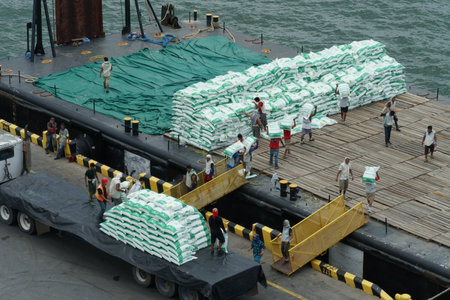 Ship is loaded manually by stevedores without crane in Guatemala. They carry bags with fertilizers...