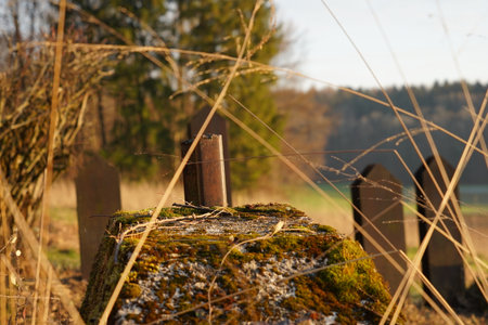 Anti tank toblerone obstacles and reinforced with metal rail was made to stop army enemy troops. Strong military fortified protection was built during WW2 in Switzerland.の写真素材