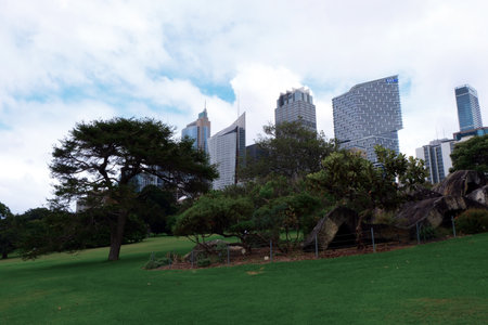 Cityscape with skyscrapers of Sydney, Australia, taken from Royal Botanic Gardens during overcast cloudy sky in summer season.の写真素材
