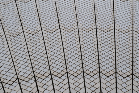 Details of roof of The Sydney Opera House situated in New South Wales, Australia are observed during...