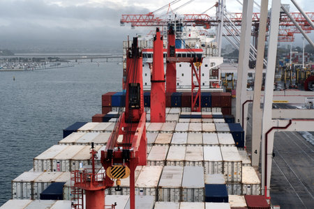 Container ship with cranes during cargo operation loading and discharging by gantry cranes operated...
