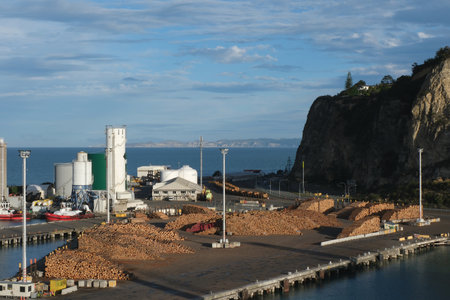 Wood terminal where tree logs are loading and discharging by mobile cranes operated by stevedores observed from container pier in port of Napier, New Zealand.の写真素材