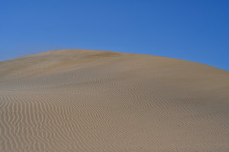 The Maspalomas desert during wind weather, whose real name is Dunas de Maspalomas and is a unique natural area on the southern tip of Gran Canaria.の写真素材