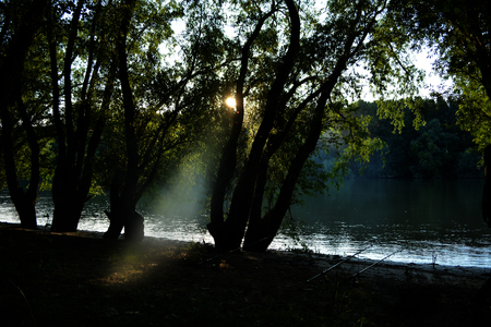Sunset  over forestの写真素材