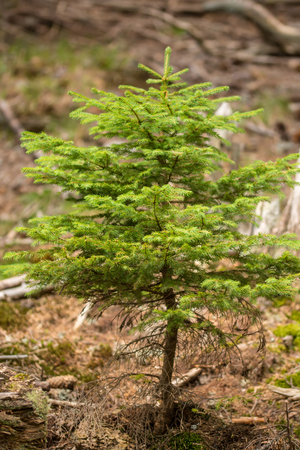 New generationの写真素材