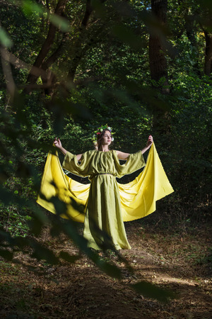 Fantasy Fairy Taleの写真素材