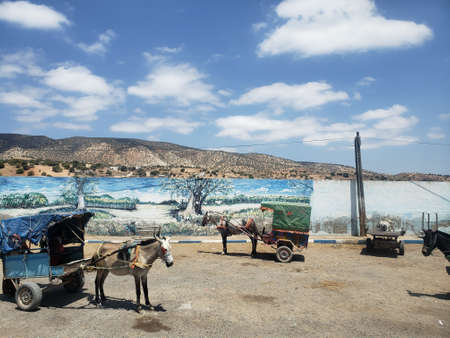 Traditional horse-drawn carriage in the port of Sinai.の写真素材