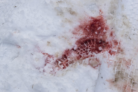 bloody shoe print in the snowの写真素材