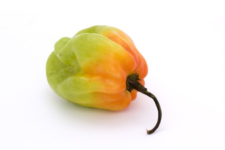 orange and green scotch bonnet chillli pepper over whiteの写真素材