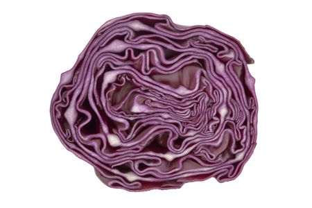 macro of red cabbage sliced in halfの写真素材