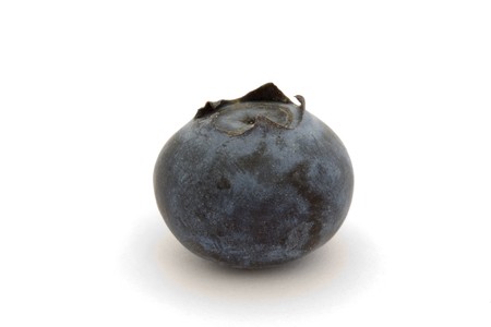 single blueberry isolated on a white backgroundの写真素材