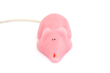 pink sugar mouse isolated on a white backgroundの写真素材
