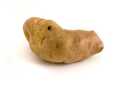 Single misshapen potato isolated over whiteの写真素材