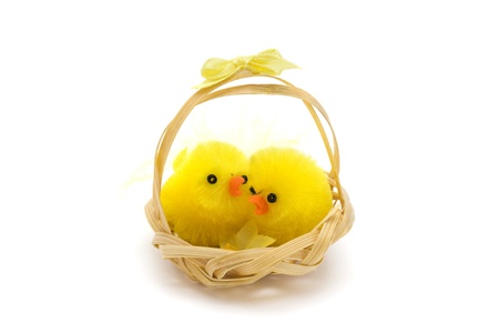 two easter chicks in a basket over whiteの写真素材