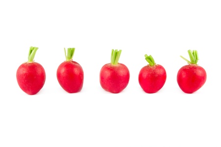 A line of five fresh radishes on white