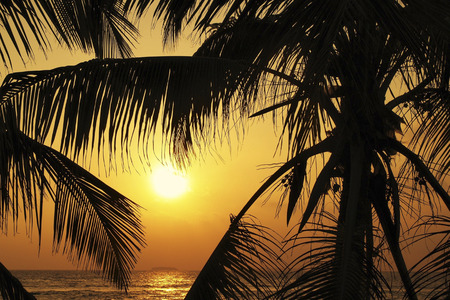 Sunset in Paradiseの写真素材