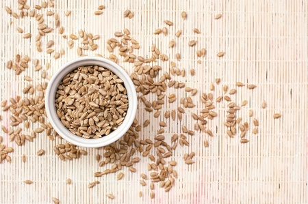 Grey sunflower seeds on the white background, overhead horizontal viewの写真素材