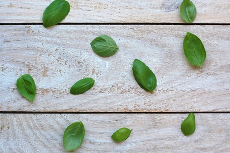 Leaves of basil on the wooden background, overhead horizontal viewの写真素材