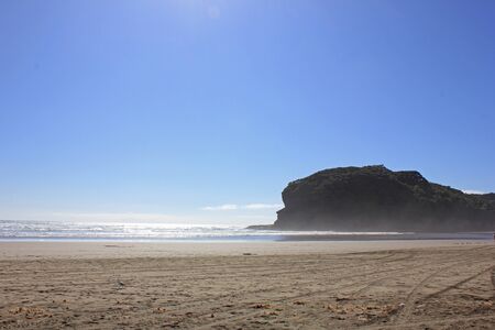 View over bethells beach in new zealandの写真素材