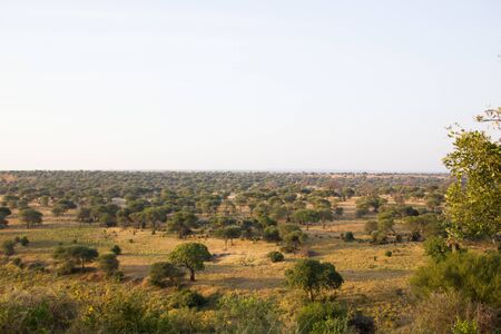 Early morning mood in the african steppeの写真素材