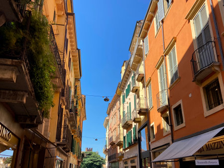 Beautiful houses in the old town of Veronaの写真素材