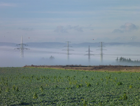 a misty morning on a green fieldの写真素材