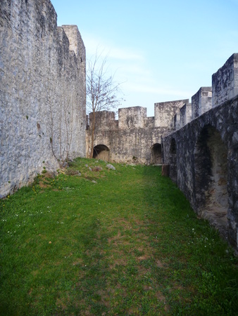 old medieval castle Stari Grad in Celje in Sloveniaのeditorial素材