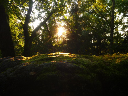 small historical fortress with a tower in romantic northern bohemiaの写真素材