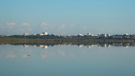 larnaka salt lake with migrating flamingos in winter