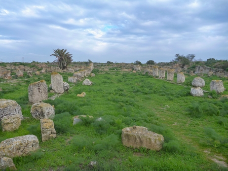 ancient greek archeological site salamis in cyprusの写真素材