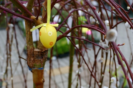 a colorfull easter decoration sold on a marketの写真素材