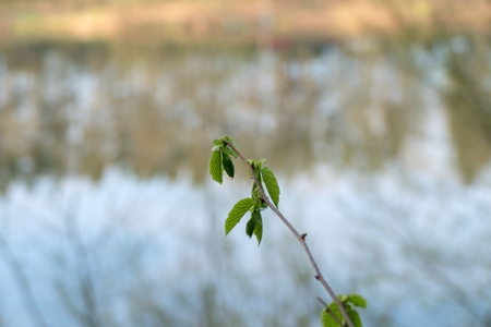 a quiet spring morning at vltava river at slapy damの写真素材