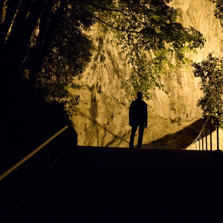 a night in a wood with a silhouette of a manの写真素材